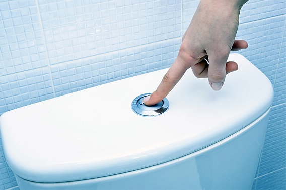 Ко Всемирному дню туалета. Когда появились первые ватерклозеты (туалеты, оснащенные сантехническими изделиями, где используется механизм промывки унитаза водой)